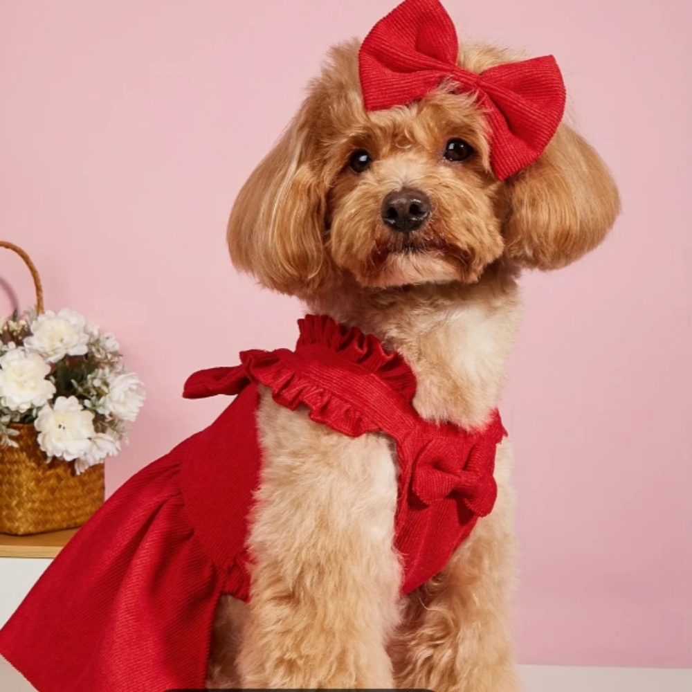 Pet Dress